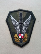 Jednostka Wojskowa Komandosów