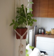Kwietnik 6, makrama na kwiaty.Boho.Handmade.WIELE KOLORÓW