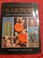 KAKTUSY /INNES/GLAS BDB-