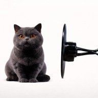 Zapach 2D KOTEK do samochodu na kratkę nawiewu PREZENT