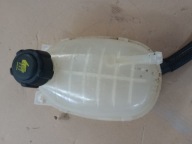 ZBIORNICZEK WYRÓWNAWCZY CAPTUR II CLIO NISSAN JUKE