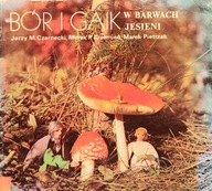 Bór i gaik w barwach jesieni - Czarnecki, Krzemień, Pietrzak