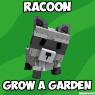 Racoon | Grow a Garden | GAG | Roblox