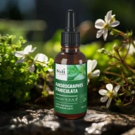 Nano Andrographis Paniculata Ekstrakt 5:1 Sati Labs