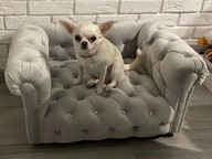 Legowisko kanapa sofa glamour dla psa kota 100 kolorów