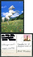 K24541)Karta Zwierzecia: Kon, wyslany