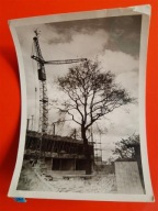 dźwig budowa 50te (207)