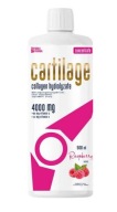 Noble Pharma Cartilage Koncentrat w płynie malina 500 ml