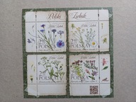 bl. 307 ** Polski Zielnik / 2017