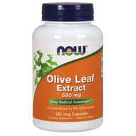 Suplement diety Now Foods Olive Leaf Extract 500 mg 120 kapsułek