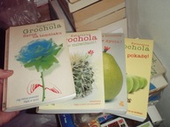 Grochola zestaw 4x: Nigdy w życiu, Ja wam pokażę, A nie mówiłam, Serce na