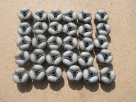 Trapo Rolka wielokierunkowa 50mm Pakiet