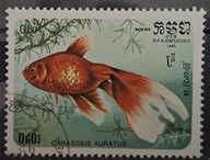 Ryby (kas) - luzak - do uzupełnień 13/3