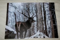 PODKŁADKA NA STÓŁ JYSK PLACE MAT 33 cm x 44 cm ZIMOWY MOTYW KOMPLET 2 SZT