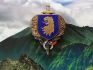ODZNAKA WOJSKOWA -FRANCJA