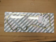 Fiat OE 55186663 uszczelka pokrywy rozrządu