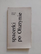 Spacerki po Olsztynie Alojzy Śliwa OLSZTYN