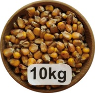 Kukurydza Żółta, DROBNA, Flint, od Rolnika, 10kg, 2025r
