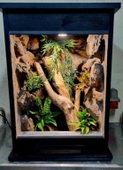 Terrarium dla gekona orzęsionego 40x40x60 z wyposazeniem