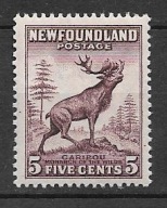 Nowa Fundlandia xx B51 fauna ren SG213 20funtów MNH VF