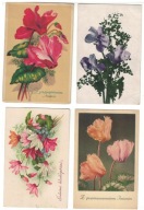 DO15-Życz.Urodz.Cyklameny