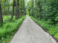 Działka, Regulice, Alwernia, Chrzanowski, 4100 m²