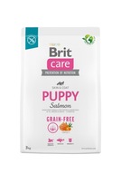 Brit Care Dog Grain Free Puppy Salmon Sucha Karma dla Psa Łosoś 3kg