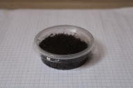 Skoczogonki - najlepsza ekipa sprzątająca - porcja zarodowa Prosionki,owad