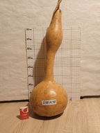 Tykwa zdrewniały owoc