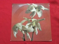 MASŁYK PARTITA moja julio POCZTÓWKA DŹWIĘKOWA