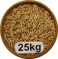 Owies Bezłuskowy, Nagi, 25kg, 2025r
