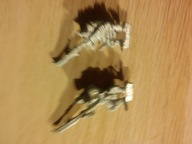 2 x Skaven Stormvermin Bardzo Stary Metal Orginał Nie Odlew