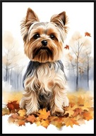 A2 59,4x42 PLAKAT OBRAZ PIES YORK YORKSHIRE TERRIER, JESIEŃ AKWARELA