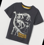 H&M t-shirt dinozaury r. 134/140