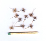 Sucha muszka BRĄZOWA MR - #18