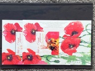 Nowodruki A+B Owady Pożyteczne. Pszczoła Miodna NUMER