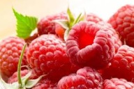 MALINA BEZKOLCOWA GLEN AMPLE SADZONKA W POJEMNIKU 20 CM WIELOLETNIA