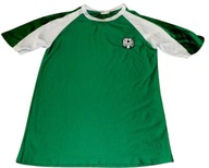 Bluzka T-shirt Crane piłkarz 146-152 >T