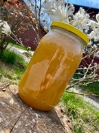 Miód Lipowy 1.2kg ZBIÓR 2025r. Pasieka U Antosia