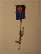 VII MIĘDZYNARODOWE BIENNALE GRAFIKI - KRAKÓW 1978, USA - CZYSTA