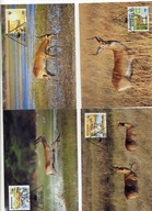 A41352)WWF-Maximum Karty Ssaki: Botswana 431 - 434