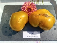 Pomidor Kiwi pikantno-owocowy smak nasiona kolekcjonerskie