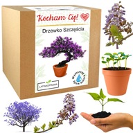 NIETYPOWY PREZENT NA WALENTYNKI DRZEWKO SZCZĘŚCIA BONSAI PREZENT DLA NIEJ