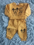 Dres fox&bunny 62 cm