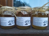 SYROP Z KWIATÓW CZARNEGO BZU I MIĘTY 515 ML ZGODNY Z NATURĄ DOMOWY