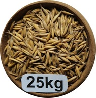 Owies Żółty 25kg, 2025r