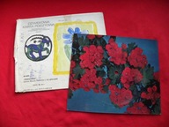 RODOWICZ małgośka POCZTÓWKA DŹWIĘKOWA 1973