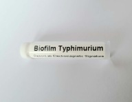 Test Biorezonans Biofilm Typhimurium