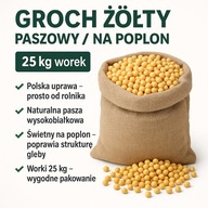 Groch na poplon – 25 kg – wysoka jakość z polskiej uprawy