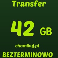 Transfer chomikuj 42 GB Bezterminowo